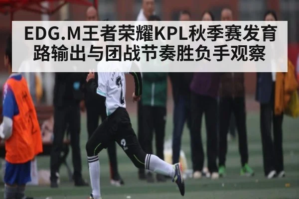 EDG.M王者荣耀KPL秋季赛发育路输出与团战节奏胜负手观察